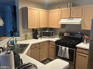 46924 Courtyard Square unit 301, Sterling, VA 20164 - photo 2