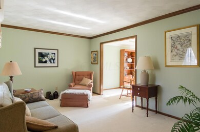 Kinglet_Ct_0039