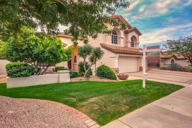Desert Broom-02