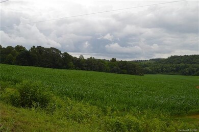 000 Ford Farm Rd, Sharpesburg, NC 28625 - photo 4