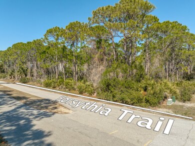 1601 Forsythia Trail, St. George Island, FL 32328 - photo 3