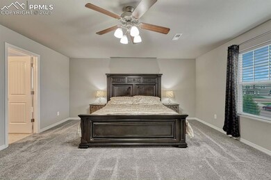 4616 Halite Way, Colorado Springs, CO 80938 - photo 4