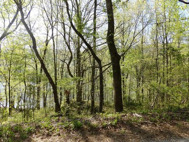 Mullins Cove 022