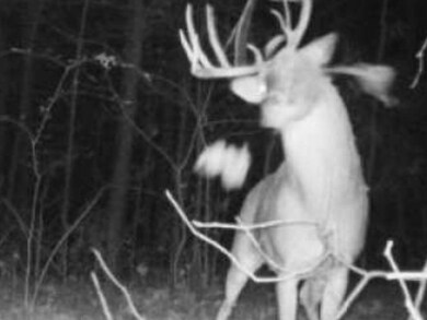 9969 Highway 23, Witter, AR 72776 - photo 5