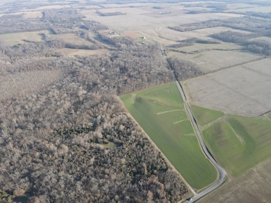 000 County Highway 7, Cisne, IL 62823 - photo 5