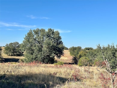 171 County Road 306, Goldthwaite, TX 76844 - photo 5