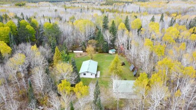 1637 Wakely Rd, Cook, MN 55723 - photo 2