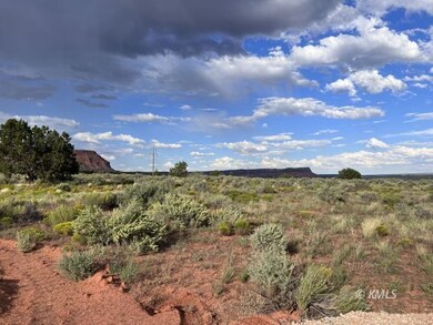 Lot 8 Rowel, Kanab, UT 84741 - photo 3