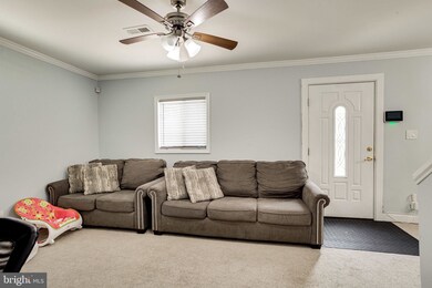 7729 Emerson Rd, Hyattsville, MD 20784 - photo 5