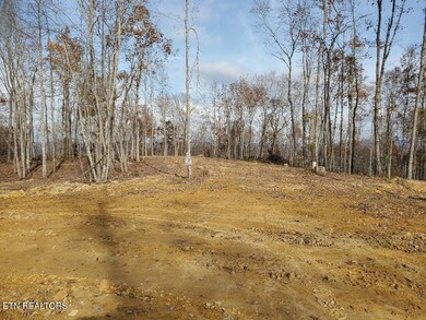 0 Bull Creek Lot K Rd, Huntsville, TN 37756 - photo 3