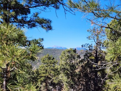 0 Old Mission Ridge unit D42 23-55, Trinidad, CO 81082 - photo 5