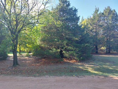 TBD Mano Ln, Sadler, TX 76264 - photo 5