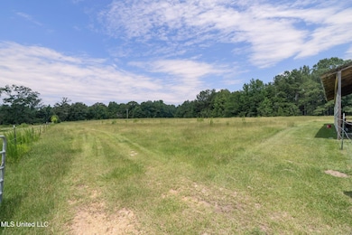 1104 Old Highway 24 Extension, McComb, MS 39648 - photo 3