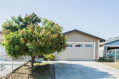 Front of the property (mango tree)