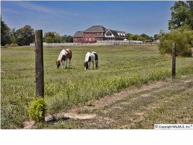 Enjoy watching your horses!