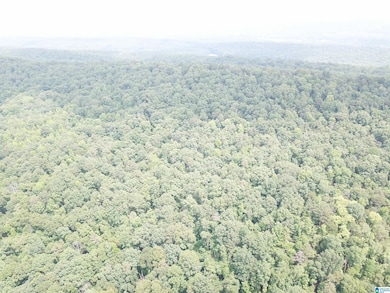 9063 Bush Ave unit 1, Leeds, AL 35094 - photo 3