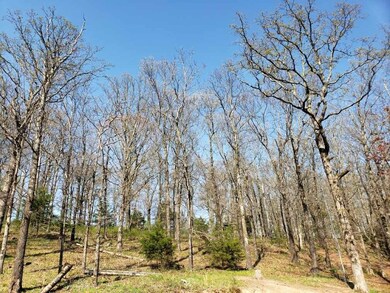 15562 Low Gap Rd, West Fork, AR 72774 - photo 6