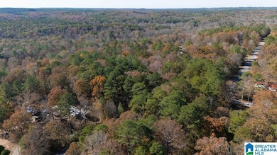 0 Jerry Dr unit 21437056, McCalla, AL 35111 - photo 4