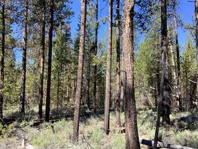 53620 Woodchuck Dr, La Pine, OR 97739 - photo 6