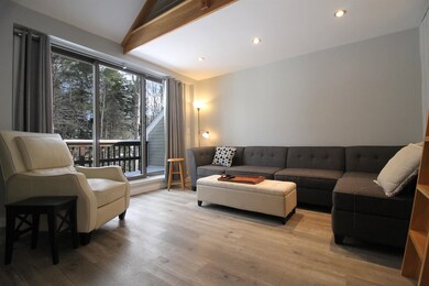 21 Tripyramid Way unit 22, Waterville Valley, NH 03215 - photo 2