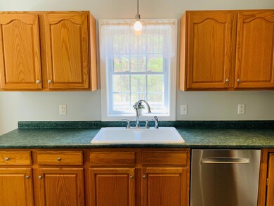 Kitchen overlooking backyard