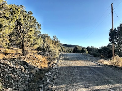 233 Lake of the Falls Pkwy, Mosca, CO 81146 - photo 3