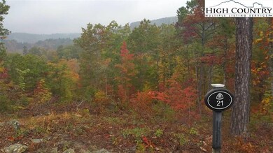 Lot 21 Lavendar Ln, Ferguson, NC 28624 - photo 2