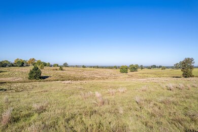 000 County Road 4331, Larue, TX 75770 - photo 7