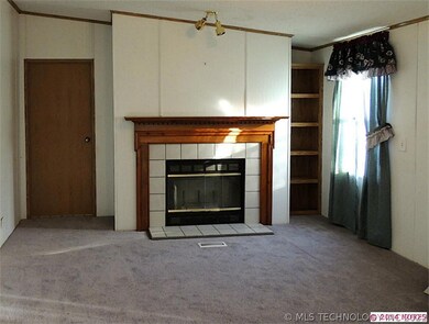 wood burning fireplace