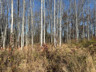 3498 Winter Holly Dr, Batavia Township, OH 45102 - photo 6