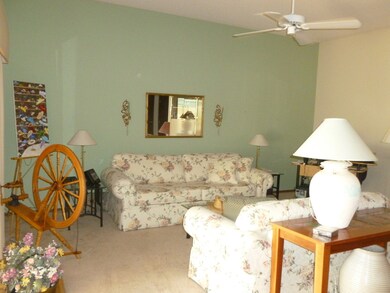 10879 W Emerald Dr, Sun City, AZ 85351 - photo 3