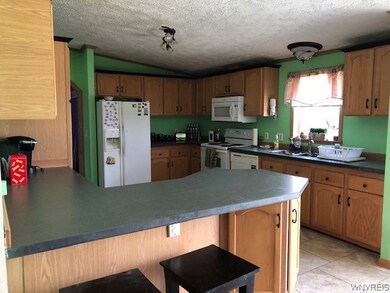 2279 Bray Rd, Arcade, NY 14009 - photo 6