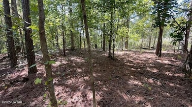 00 Harts Bridge Rd, Jackson, TN 38301 - photo 3