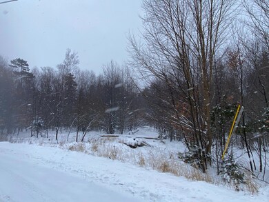 Lot 225 W Birch Ln, Beaver Cove, ME 04441 - photo 7
