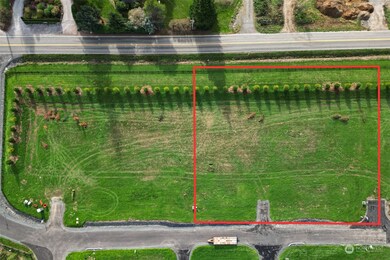 731 Denali Ct, Bellingham, WA 98226 - photo 5