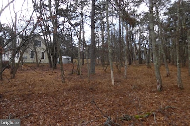 Lot D1922 N Old Stage Rd, Albrightsville, PA 18210 - photo 5