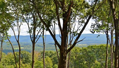 unlisted-address, Egremont, MA 12529 - photo 3