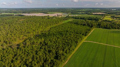 0 Sam Sells Rd, Moultrie, GA 31768 - photo 6