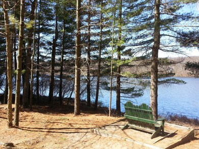 134 Hemlock Point Ct, Hawley, PA 18428 - photo 6