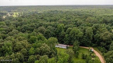 247 Sandy Branch Rd, Sarah, MS 38665 - photo 4