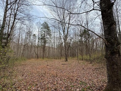 0 Pine Knoll Farms unit 104190, Stuart, VA 24171 - photo 5