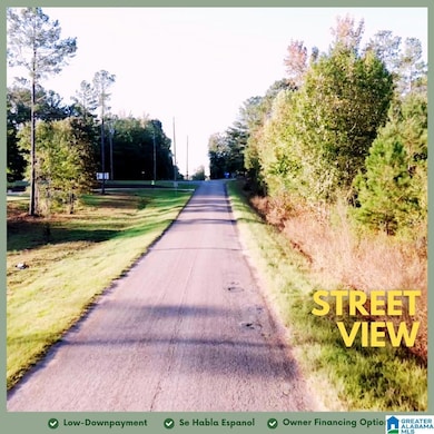 Tract  3A County Road 329, Wedowee, AL 36278 - photo 5