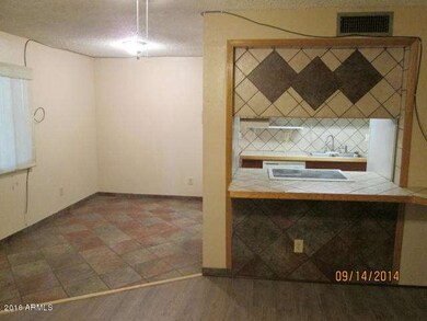 echo living 3
