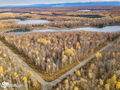 10331 N Little Lonely Lake Rd, Willow, AK 99688 - photo 2