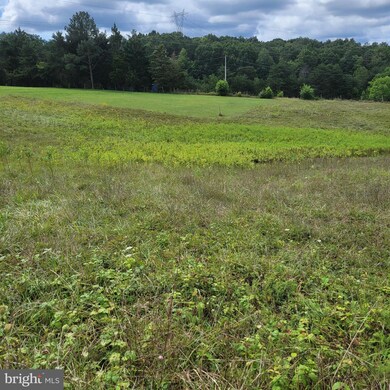 0 Spielman Rd unit WVMO2000352, Berkeley Springs, WV 25411 - photo 5