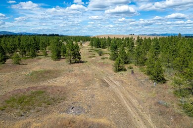 Lot 5 Prairie Ln N, Creston, WA 99117 - photo 4