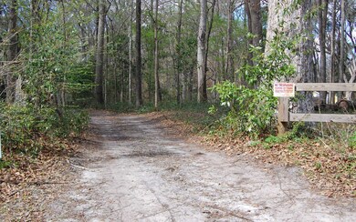 LOT 8 Santa fe Dr, Fort White, FL 32038 - photo 2