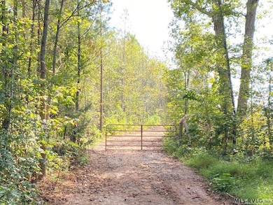 18.62 Ac Squirrell Hollow Rd, Alberta, VA 23821 - photo 6