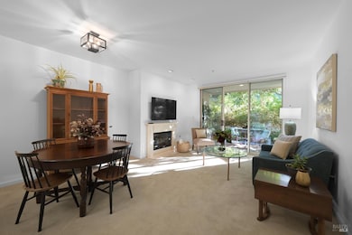 200 Deer Valley Rd unit 1C, San Rafael, CA 94903 - photo 2