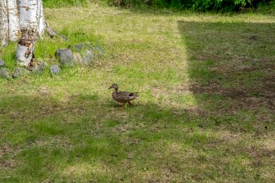 Friendly Locals!